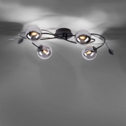 Paul Neuhaus 6724-18 - LED Żyrandol natynkowy WIDOW 4xG9/3W/230V