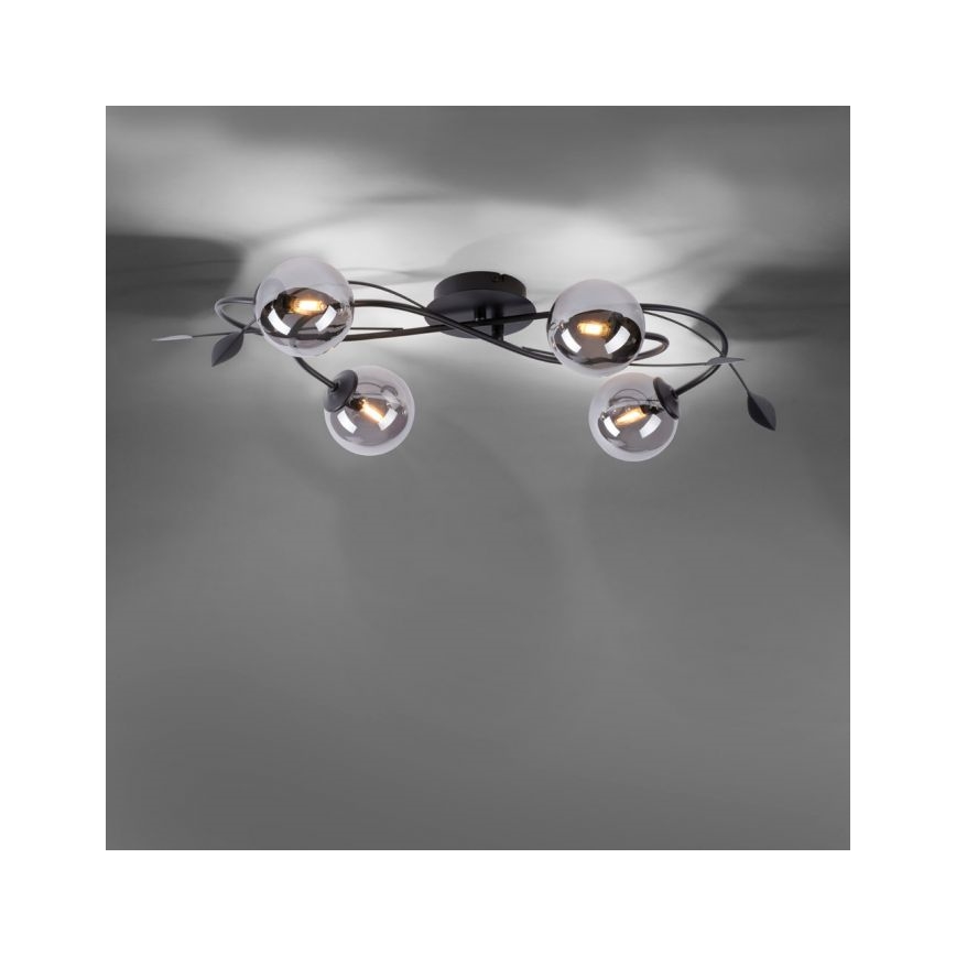 Paul Neuhaus 6724-18 - LED Żyrandol natynkowy WIDOW 4xG9/3W/230V
