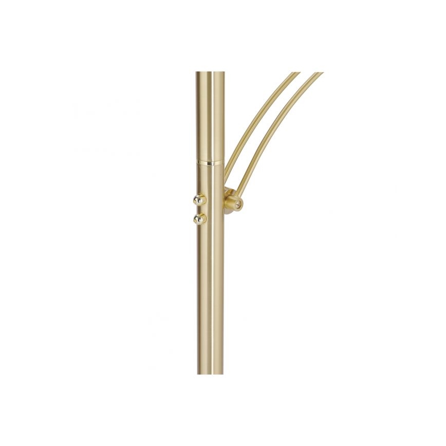 Paul Neuhaus 673-60 - LED ściemnialna lampa stojąca ARTUR 2xLED/21W/230V+LED/6W złota