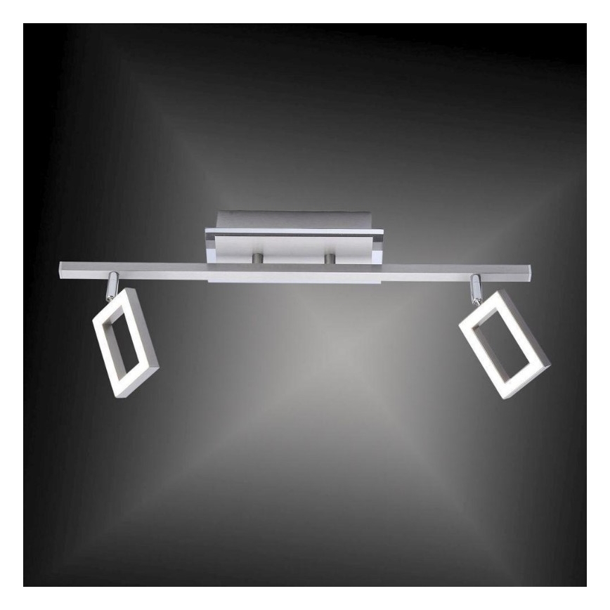 Paul Neuhaus 6958-55 - LED Oświetlenie punktowe INIGO 2xLED/4,2W/230V