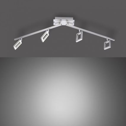 Paul Neuhaus 6960-55 - LED Ściemnmiane oświetlenie punktowe INIGO 4xLED/4,2W/230V
