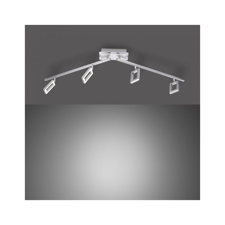 Paul Neuhaus 6960-55 - LED Ściemnmiane oświetlenie punktowe INIGO 4xLED/4,2W/230V