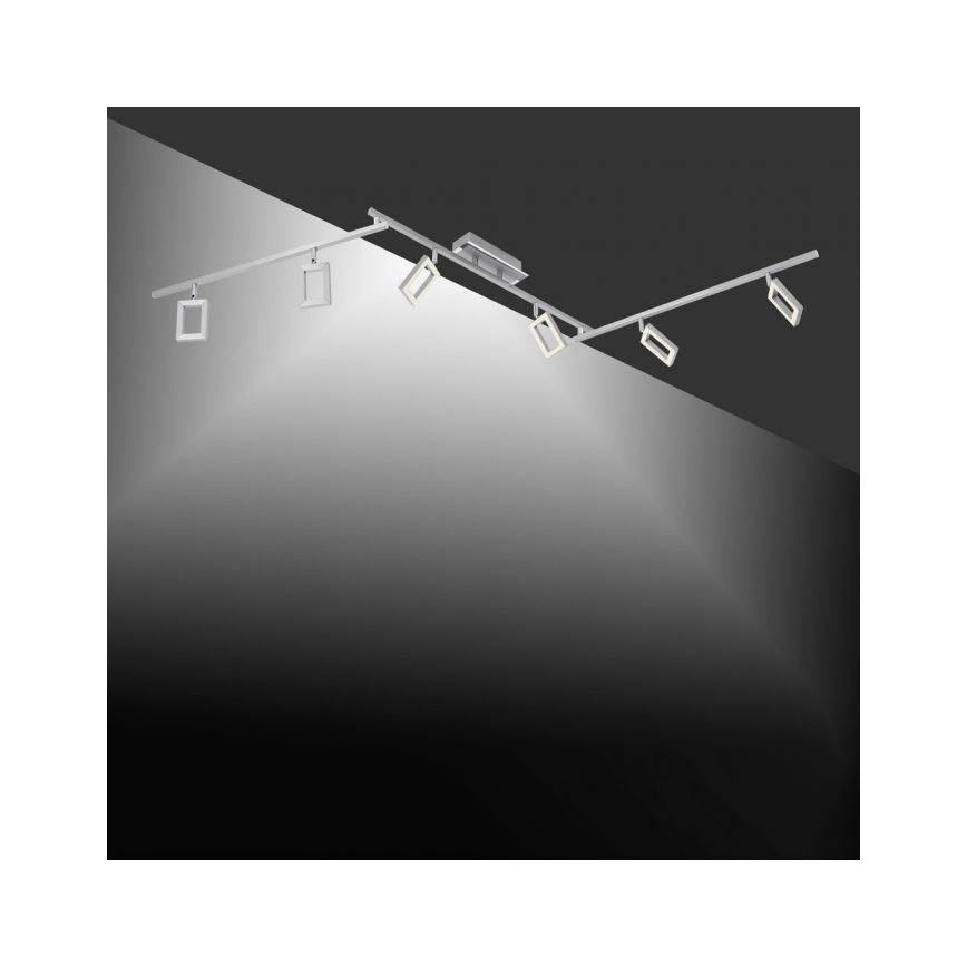 Paul Neuhaus 6965-55 - LED Ściemniany reflektor INIGO 6xLED/4W/230V
