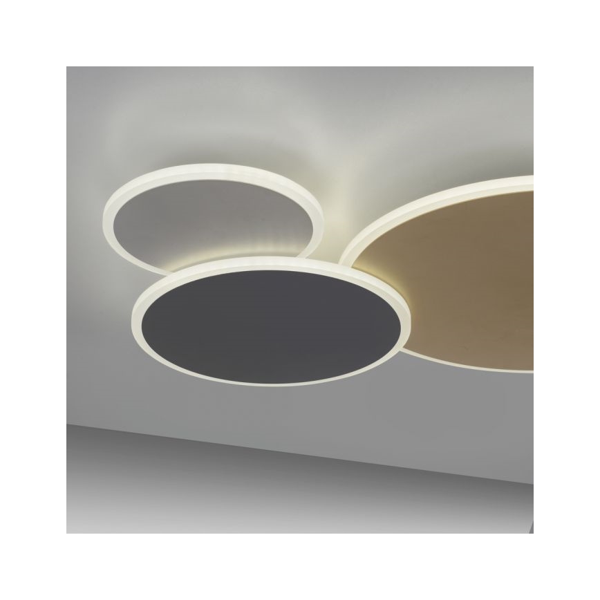 Paul Neuhaus 8007-70 - LED regulowane oświetlenie sufitowe Q-PIATO LED/35W/230V 2700-5000K Wi-Fi + pilot zdalnego sterowania