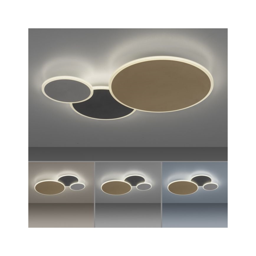 Paul Neuhaus 8007-70 - LED Plafon ściemnialny Q-PIATO LED/35W/230V 2700-5000K Wi-Fi + zdalne sterowanie