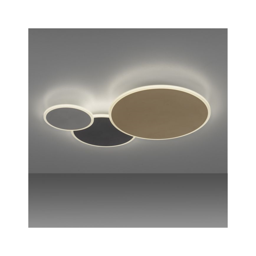 Paul Neuhaus 8007-70 - LED Plafon ściemnialny Q-PIATO LED/35W/230V 2700-5000K Wi-Fi + zdalne sterowanie