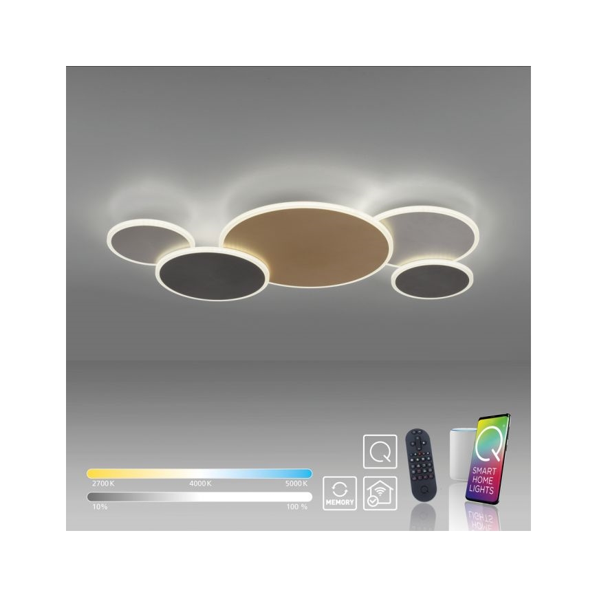 Paul Neuhaus 8008-70 - LED Plafon ściemnialny Q-PIATO LED/49W/230V 2700-5000K Wi-Fi + pilot zdalnego sterowania