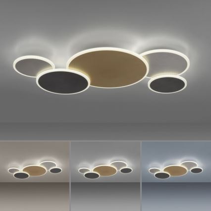 Paul Neuhaus 8008-70 - LED Plafon ściemnialny Q-PIATO LED/49W/230V 2700-5000K Wi-Fi + pilot zdalnego sterowania