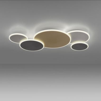 Paul Neuhaus 8008-70 - LED Plafon ściemnialny Q-PIATO LED/49W/230V 2700-5000K Wi-Fi + pilot zdalnego sterowania
