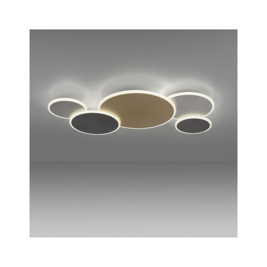 Paul Neuhaus 8008-70 - LED Plafon ściemnialny Q-PIATO LED/49W/230V 2700-5000K Wi-Fi + pilot zdalnego sterowania