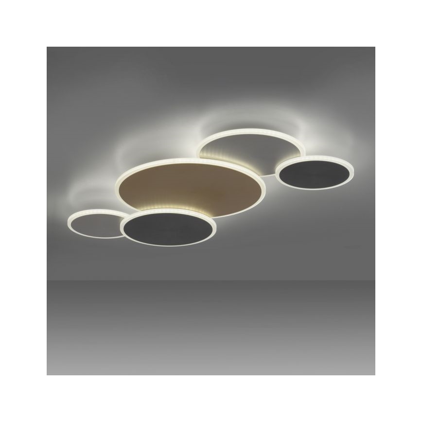 Paul Neuhaus 8008-70 - LED Plafon ściemnialny Q-PIATO LED/49W/230V 2700-5000K Wi-Fi + pilot zdalnego sterowania