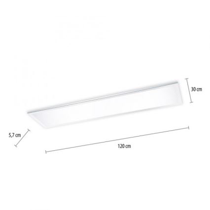Paul Neuhaus 8112-17 - LED Ściemniane oświetlenie sufitowe FLAG LED/35W/230V