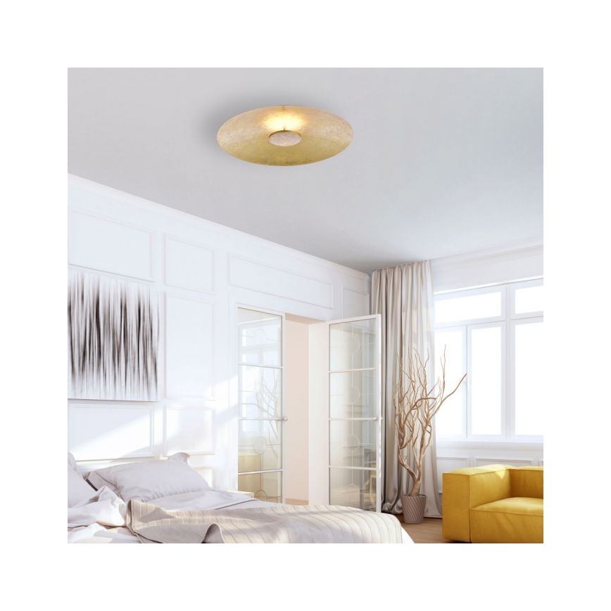 Paul Neuhaus 8132-12 - LED Ściemniane oświetlenie sufitowe PLATE LED/25W/230V