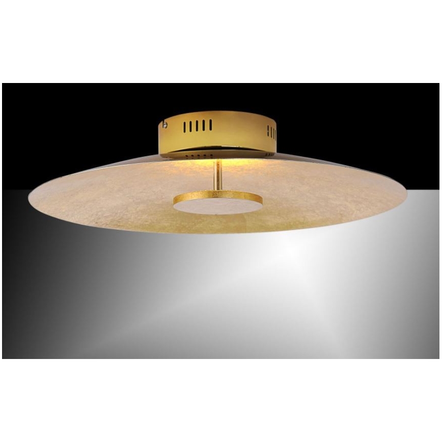 Paul Neuhaus 8132-12 - LED Ściemniane oświetlenie sufitowe PLATE LED/25W/230V