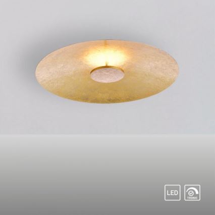 Paul Neuhaus 8132-12 - LED Ściemniane oświetlenie sufitowe PLATE LED/25W/230V