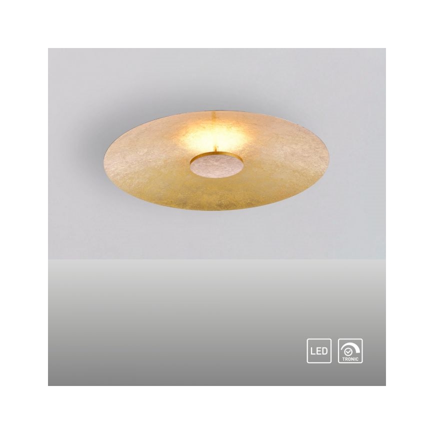 Paul Neuhaus 8132-12 - LED Ściemniane oświetlenie sufitowe PLATE LED/25W/230V