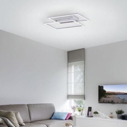 Paul Neuhaus 8192-55 - LED Plafon ściemnialny INIGO 2xLED/12W/230V