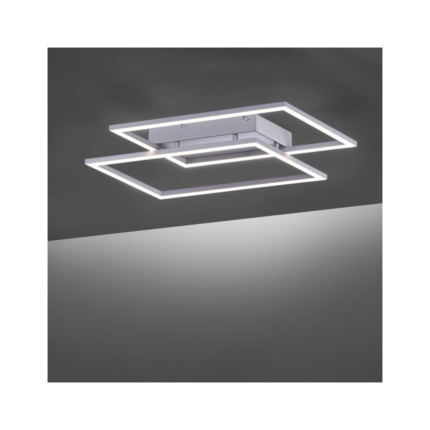 Paul Neuhaus 8192-55 - LED Plafon ściemnialny INIGO 2xLED/12W/230V