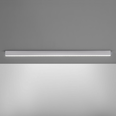 Paul Neuhaus 8233-95 - LED Plafon ściemnialny SNAKE 1xLED/22W/230V