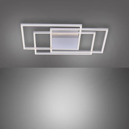 Paul Neuhaus 8256-55 - LED Plafon ściemnialny INIGO 3xLED/16W/230V