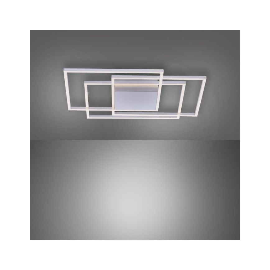 Paul Neuhaus 8256-55 - LED Plafon ściemnialny INIGO 3xLED/16W/230V