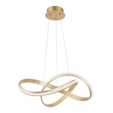 Paul Neuhaus 8291-12 - LED Ściemnialny żyrandol na lince MELINDA 1xLED/30W/230V