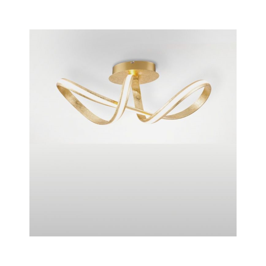 Paul Neuhaus 8331-12 - LED Ściemnialny żyrandol natynkowy MELINDA LED/30W/230V