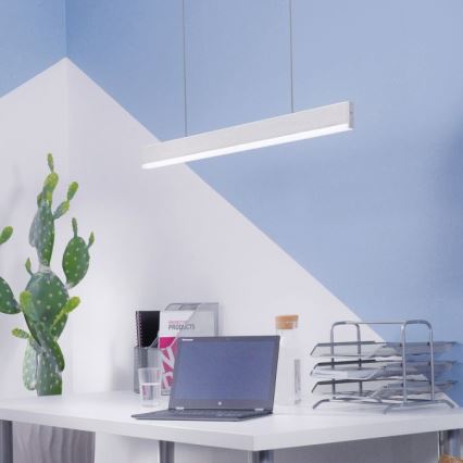 Paul Neuhaus 8363-55 - LED Ściemnialny żyrandol na lince z czujnikiem ARINA LED/20W/230V