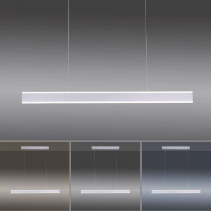 Paul Neuhaus 8363-55 - LED Ściemnialny żyrandol na lince z czujnikiem ARINA LED/20W/230V