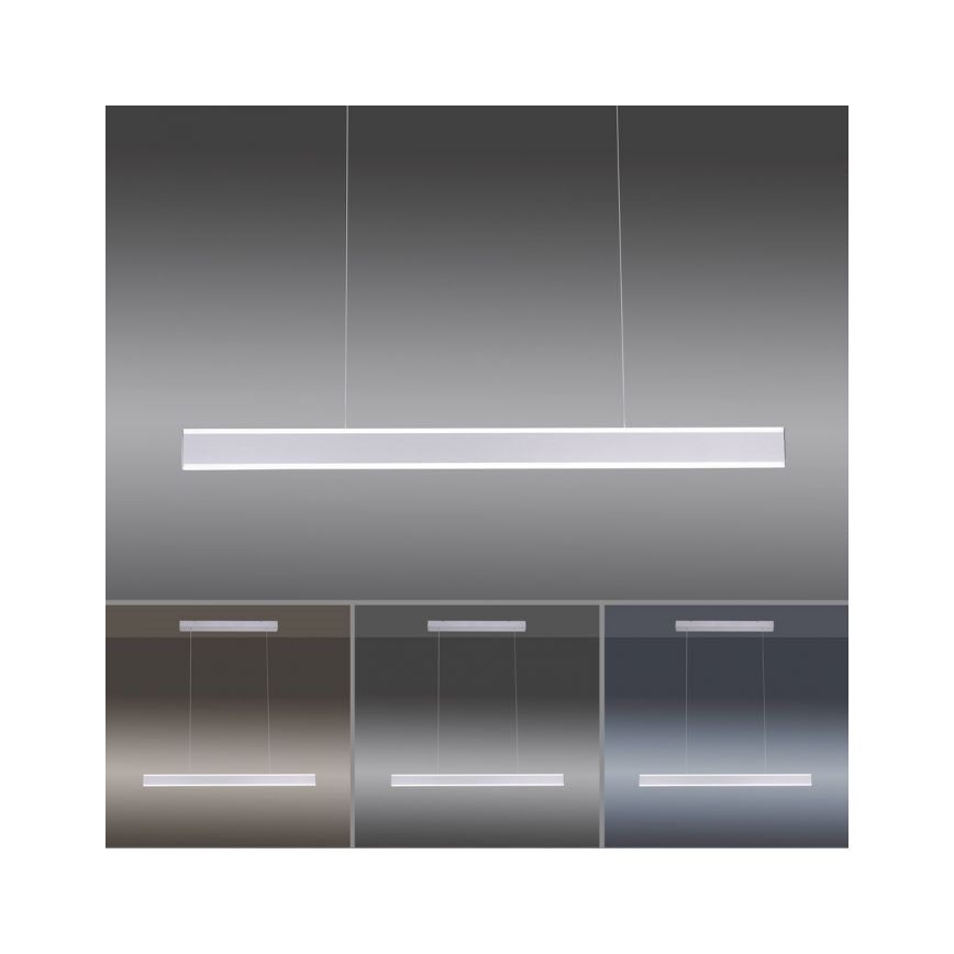Paul Neuhaus 8363-55 - LED Ściemnialny żyrandol na lince z czujnikiem ARINA LED/20W/230V