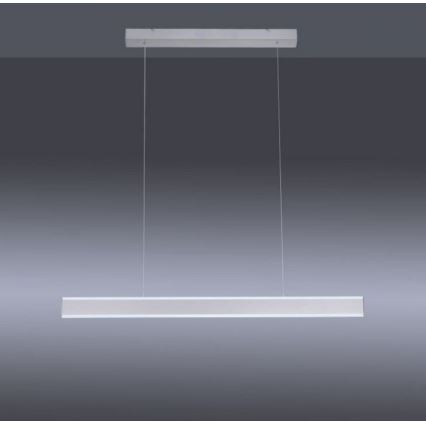 Paul Neuhaus 8363-55 - LED Ściemnialny żyrandol na lince z czujnikiem ARINA LED/20W/230V