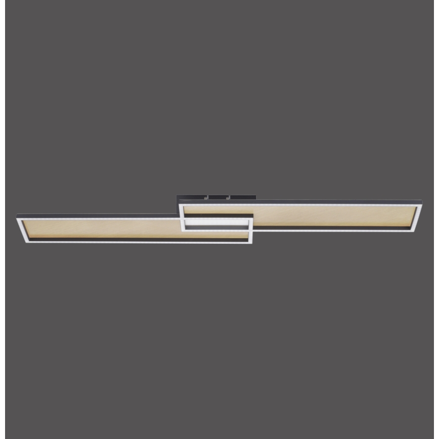 Paul Neuhaus 8371-18 - LED Plafon ściemnialny AMARA LED/40W/230V + pilot
