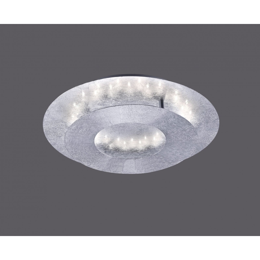 Paul Neuhaus 9011-21 - LED Plafon NEVIS LED/6W/230V srebrny