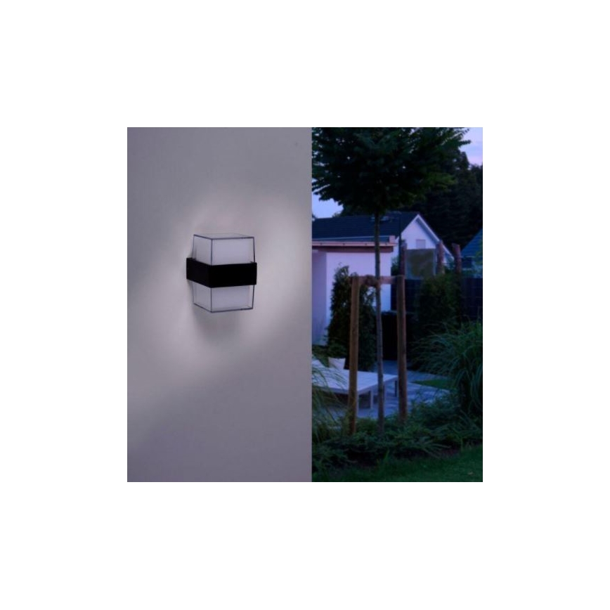 Paul Neuhaus 9480-13 - LED Kinkiet zewnętrzny CARA LED/8W/230V IP44