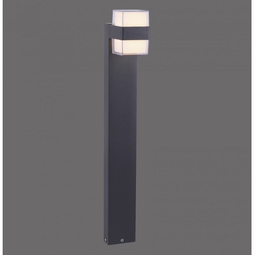 Paul Neuhaus 9481-13 - LED Lampa zewnętrzna CARA LED/8W/230V IP44