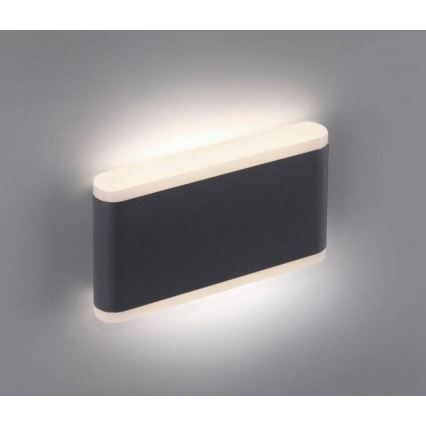 Paul Neuhaus 9483-13 - LED Kinkiet zewnętrzny ELSA 2xLED/5,4W/230V IP65