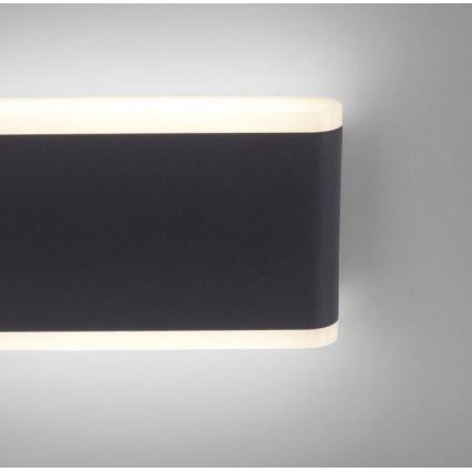 Paul Neuhaus 9483-13 - LED Kinkiet zewnętrzny ELSA 2xLED/5,4W/230V IP65