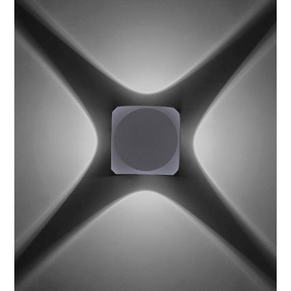 Paul Neuhaus 9485-21 - LED Kinkiet zewnętrzny CARLO 4xLED/0,8W/230V IP54