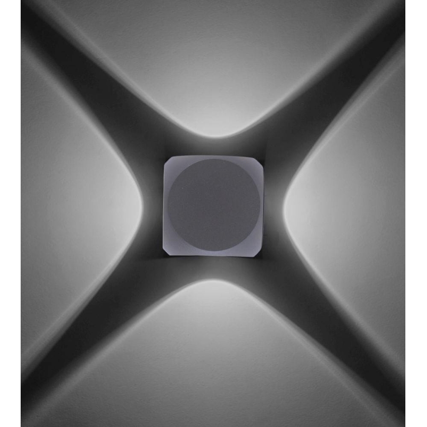 Paul Neuhaus 9485-21 - LED Kinkiet zewnętrzny CARLO 4xLED/0,8W/230V IP54