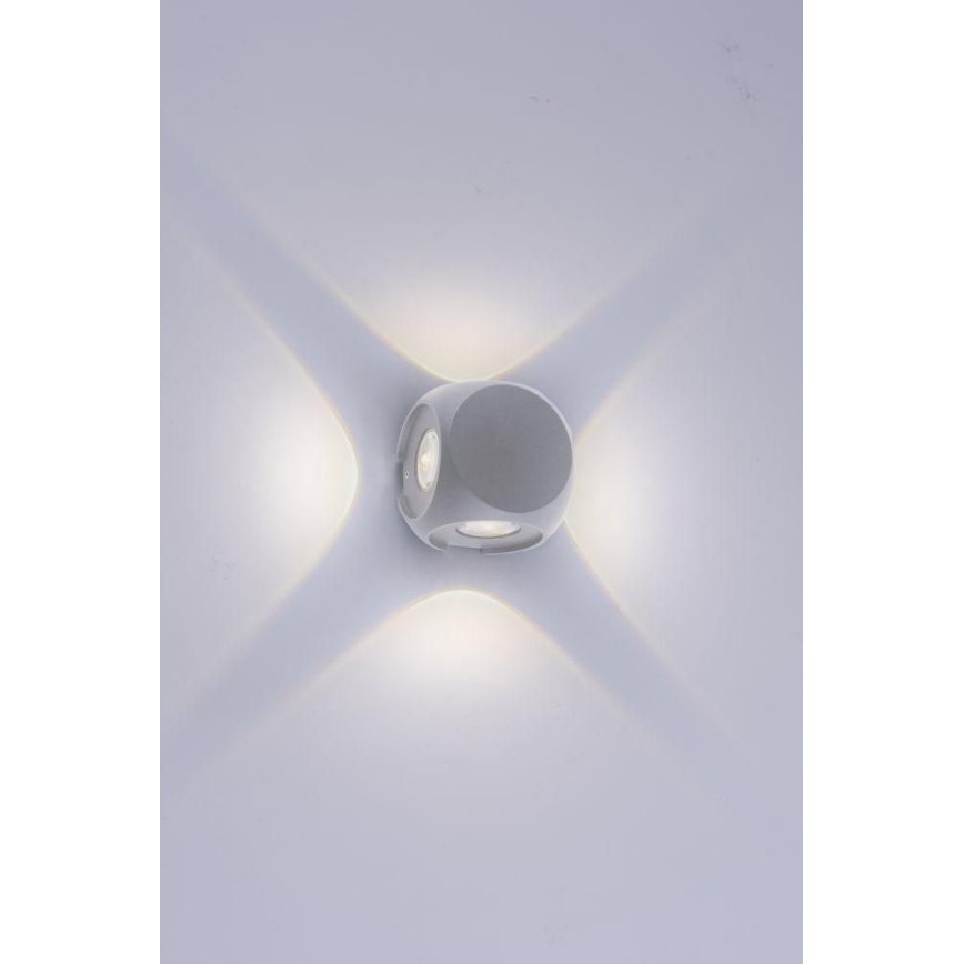 Paul Neuhaus 9485-21 - LED Kinkiet zewnętrzny CARLO 4xLED/0,8W/230V IP54