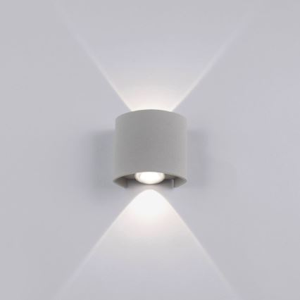 Paul Neuhaus 9486-21 - LED Kinkiet zewnętrzny CARLO 2xLED/1,7W/230V IP54