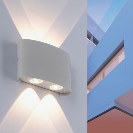 Paul Neuhaus 9487-21 - LED Kinkiet zewnętrzny CARLO 4xLED/0,8W/230V IP54