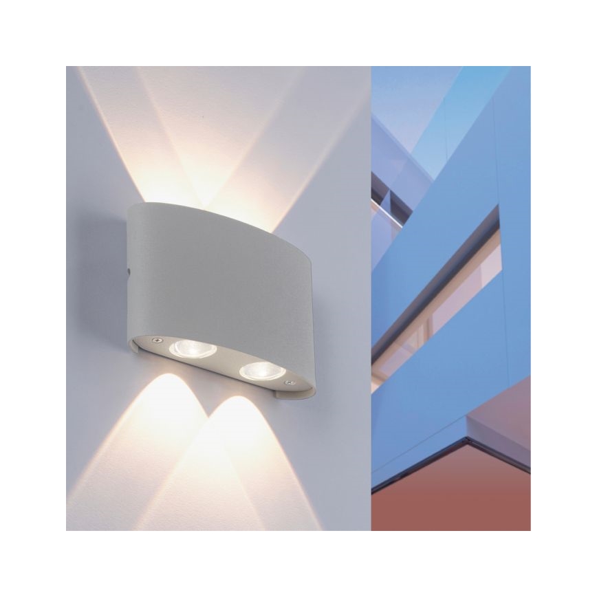 Paul Neuhaus 9487-21 - LED Kinkiet zewnętrzny CARLO 4xLED/0,8W/230V IP54