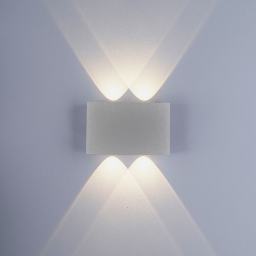 Paul Neuhaus 9487-21 - LED Kinkiet zewnętrzny CARLO 4xLED/0,8W/230V IP54