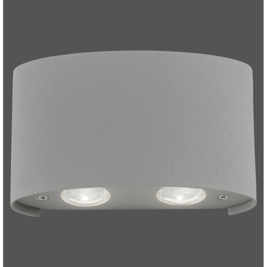 Paul Neuhaus 9487-21 - LED Kinkiet zewnętrzny CARLO 4xLED/0,8W/230V IP54