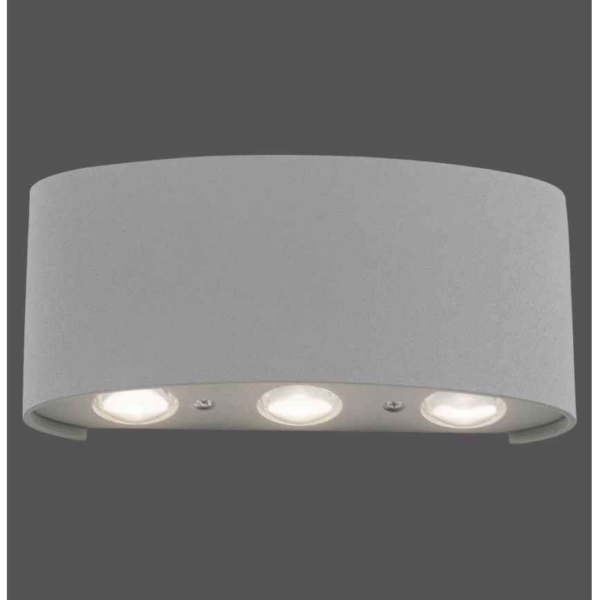 Paul Neuhaus 9488-21 - LED Kinkiet zewnętrzny CARLO 6xLED/0,8W/230V IP54