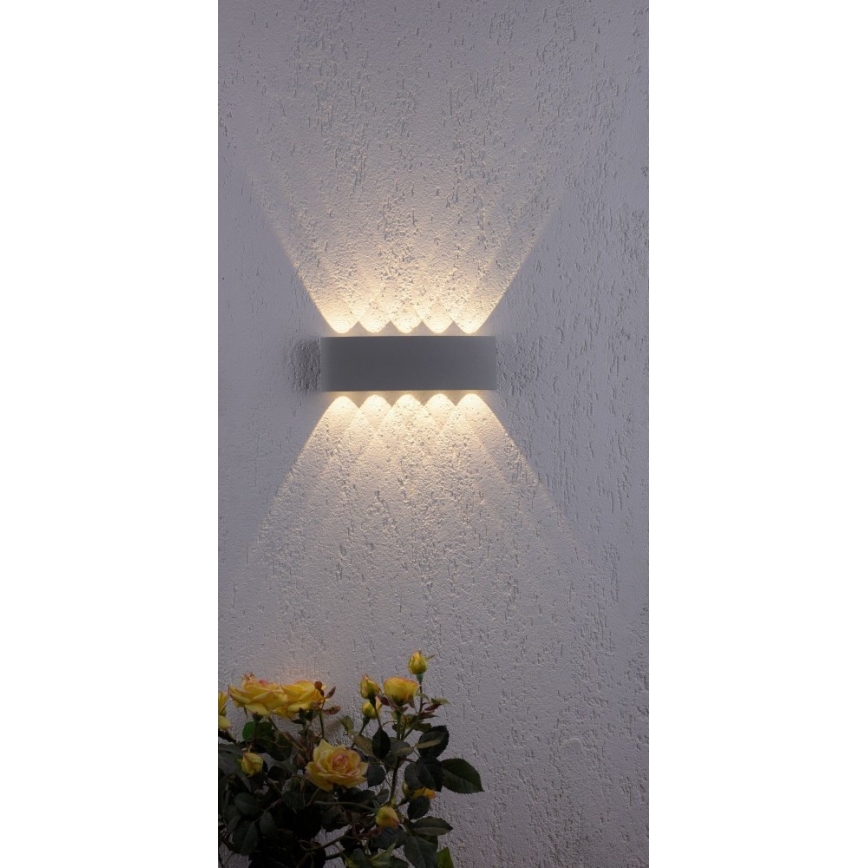 Paul Neuhaus 9489-21- LED Kinkiet zewnętrzny CARLO 10xLED/0,8W/230V IP54