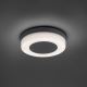 Paul Neuhaus 9490-13 - LED Lampa zewnętrzna FABIAN LED/12,6W/230V IP54