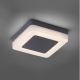Paul Neuhaus 9491-13 - LED Lampa zewnętrzna FABIAN LED/12,6W/230V IP54