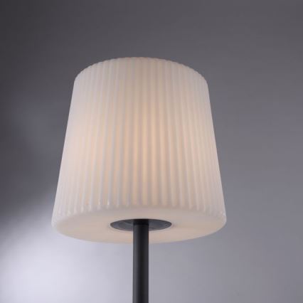 Paul Neuhaus 9501-13 - Zewnętrzna lampa stojąca FALTER 1xE27/25W/230V IP65